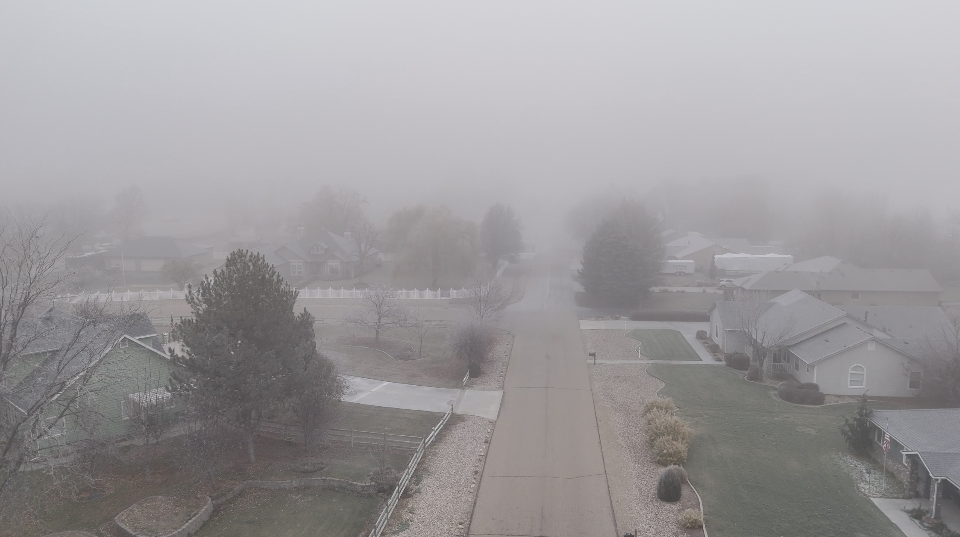 Winter Fog and frost on trees in Nampa Idaho